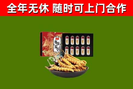 洪梅镇烟酒回收冬虫夏草礼盒.jpg