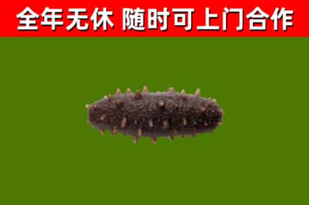 洪梅镇烟酒回收干海参.jpg